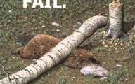 Funny Fails Animals 16 Wide Wallpaper