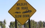 Funny Road Signs 9 Wide Wallpaper