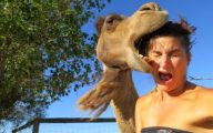 Funny Selfies Fails 28 Background Wallpaper