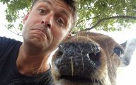 Funny Selfies With Animals 23 Widescreen Wallpaper