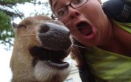 Funny Selfies With Animals 25 Cool Wallpaper