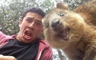 Funny Selfies With Animals 26 Background Wallpaper