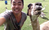 Funny Selfies With Animals 3 Desktop Background