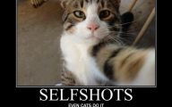 Funny Selfies With Animals 38 Desktop Background