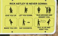 Funny Signs And Pics 9 Background