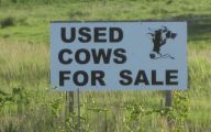 Funny Signs For Sale 26 Hd Wallpaper