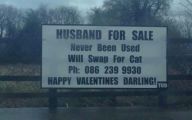 Funny Signs For Sale 36 Free Hd Wallpaper