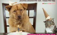 Funny Weird Birthday Wishes 11 Free Hd Wallpaper