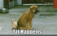 Funny Cartoon Dog Pictures 31 Cool Hd Wallpaper