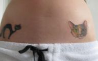 Funny Cat Tattoo On Stomach 1 Hd Wallpaper