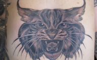 Funny Cat Tattoo On Stomach 17 Background