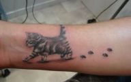 Funny Cat Tattoo On Stomach 18 Free Wallpaper