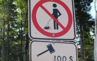 Funny Street Signs 20 Free Wallpaper