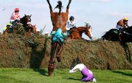 Epic Horse Fail Pictures 26 Wide Wallpaper