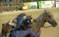 Epic Horse Fail Pictures 6 Background