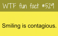 Funny And Weird Facts 1 Cool Wallpaper