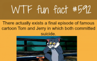 Funny And Weird Facts 11 Background