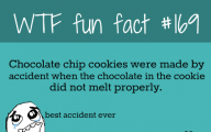 Funny And Weird Facts 16 Desktop Background