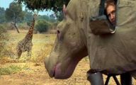 Funny Animals In Africa 21 Widescreen Wallpaper