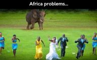 Funny Animals In Africa 7 Free Wallpaper
