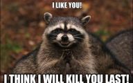 Funny Animals With Captions 11 Free Wallpaper
