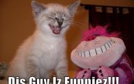 Funny Animals With Captions 12 Cool Wallpaper