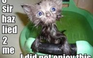 Funny Animals With Captions 38 Hd Wallpaper