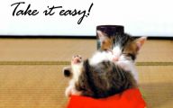 Funny Animals With Captions 41 Widescreen Wallpaper