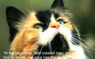 Funny Animals With Quotes 20 Hd Wallpaper
