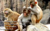 Funny Animals With Quotes 30 Widescreen Wallpaper