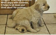 Funny Animals With Quotes 5 Widescreen Wallpaper