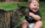 Funny Baby Cats 6 Free Wallpaper