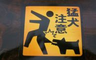 Funny Beware Of Dog Signs 18 Wide Wallpaper