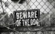 Funny Beware Of Dog Signs 20 Desktop Wallpaper