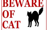 Funny Beware Of Dog Signs 22 Wide Wallpaper