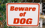 Funny Beware Of Dog Signs 8 Cool Wallpaper