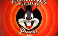 Funny Bugs Bunny Cartoon 11 Hd Wallpaper
