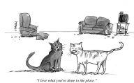 Funny Cartoon Cat 26 Desktop Wallpaper