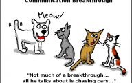 Funny Cartoon Cat 28 Widescreen Wallpaper