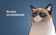 Funny Cartoon Cat 3 Background