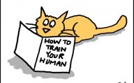 Funny Cartoon Cat Pictures 13 Desktop Wallpaper