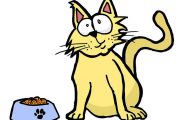 Funny Cartoon Cat Pictures 19 Background Wallpaper