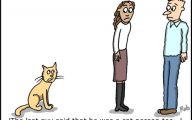 Funny Cartoon Cats 8 Free Hd Wallpaper