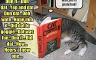 Funny Cat Books 27 Free Wallpaper