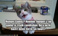 Funny Cat Games 18 Background Wallpaper