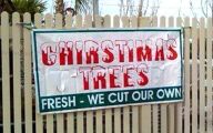 Funny Christmas Signs 9 Free Wallpaper