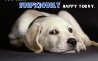 Funny Dog Art 5 Desktop Wallpaper