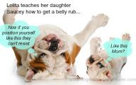 Funny Female Puppy Names 15 Cool Hd Wallpaper