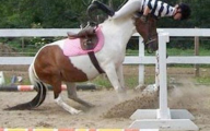Funny Horse Riding Fails 12 High Resolution Wallpaper