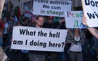 Funny Protest Signs 8 Hd Wallpaper